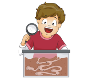 Natuur en ontdek speelgoed voor kinderen