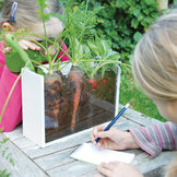 Voor de mini moestuinier