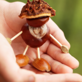 Voor de knutselliefhebber